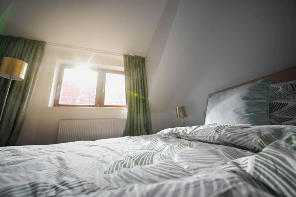 V Centru Deni Apartment Olomouc Ngoại thất bức ảnh