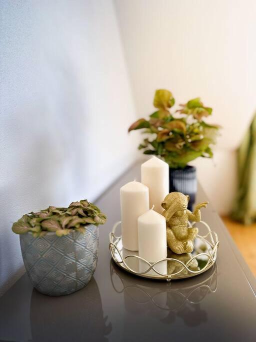 V Centru Deni Apartment Olomouc Ngoại thất bức ảnh