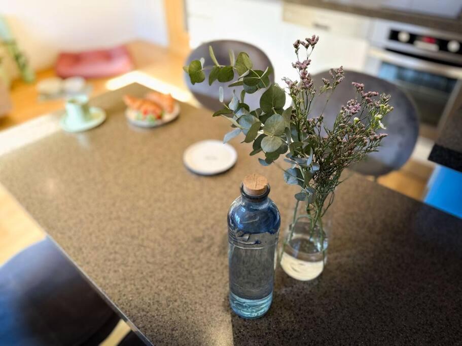 V Centru Deni Apartment Olomouc Ngoại thất bức ảnh