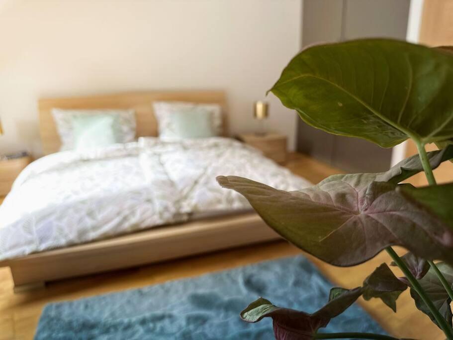 V Centru Deni Apartment Olomouc Ngoại thất bức ảnh
